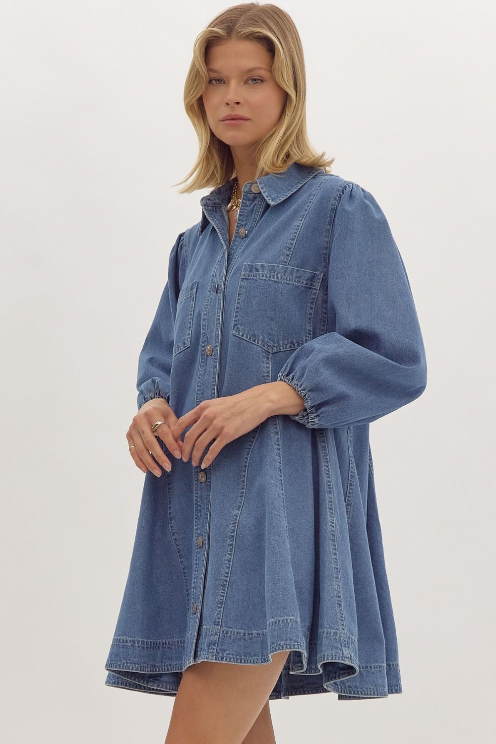 DANI Denim Dress