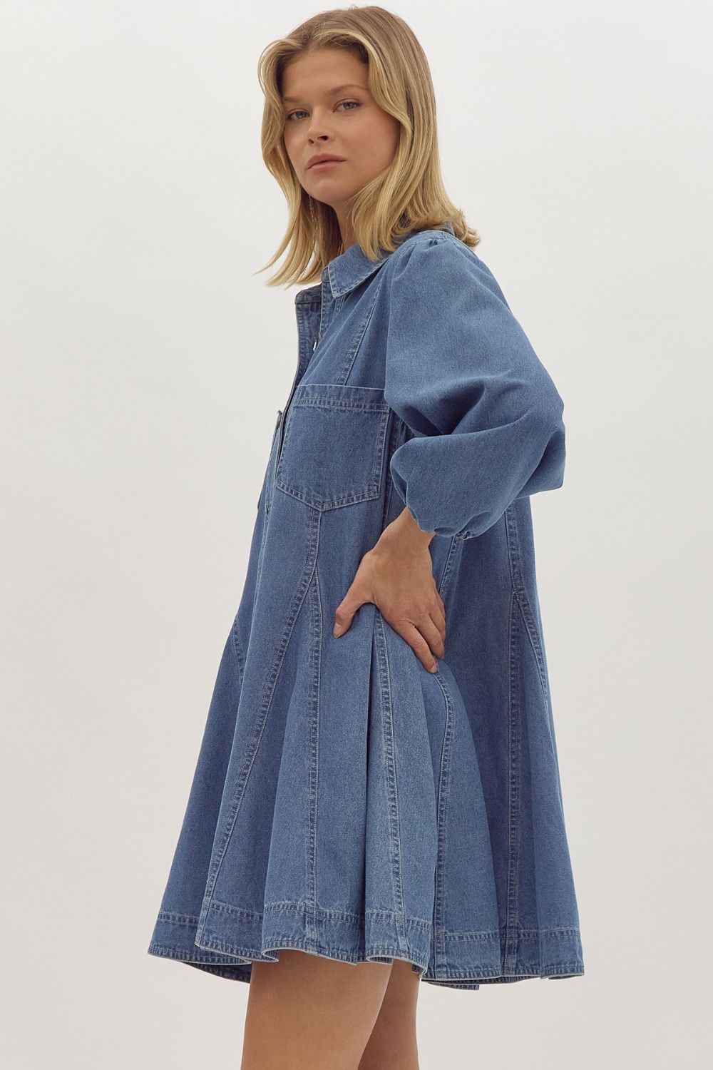 DANI Denim Dress